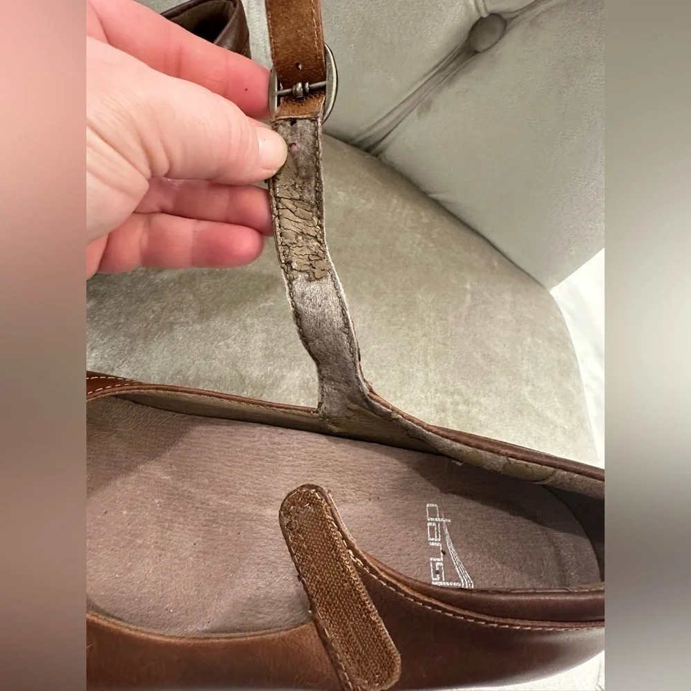 Dansko fawna mary